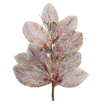 Frosted Magnolia Leaf Spray