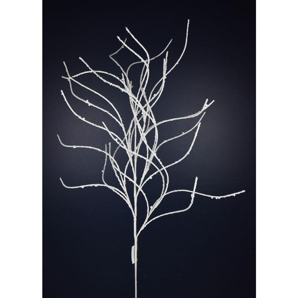 Iced Willow Stem