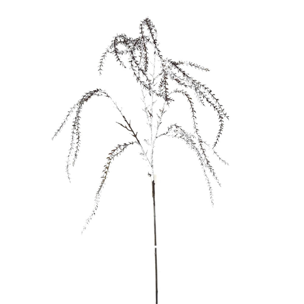 Iced Amaranthus Branch