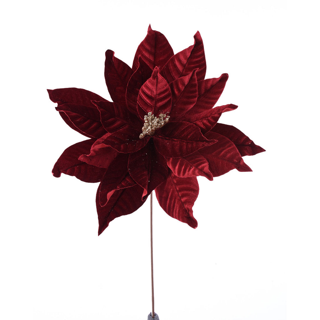 Giant Velvet Poinsettia Burgundy