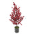 Red Berry Potted Tree