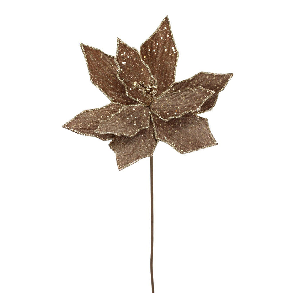 Poinsettia Stem Brown