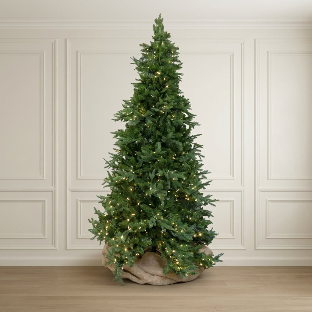 Nordmann Everlasting  Fir Tree 7.5'