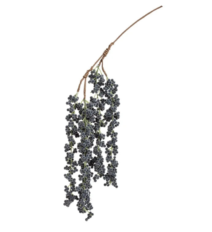 Blue Hanging Berry Vine