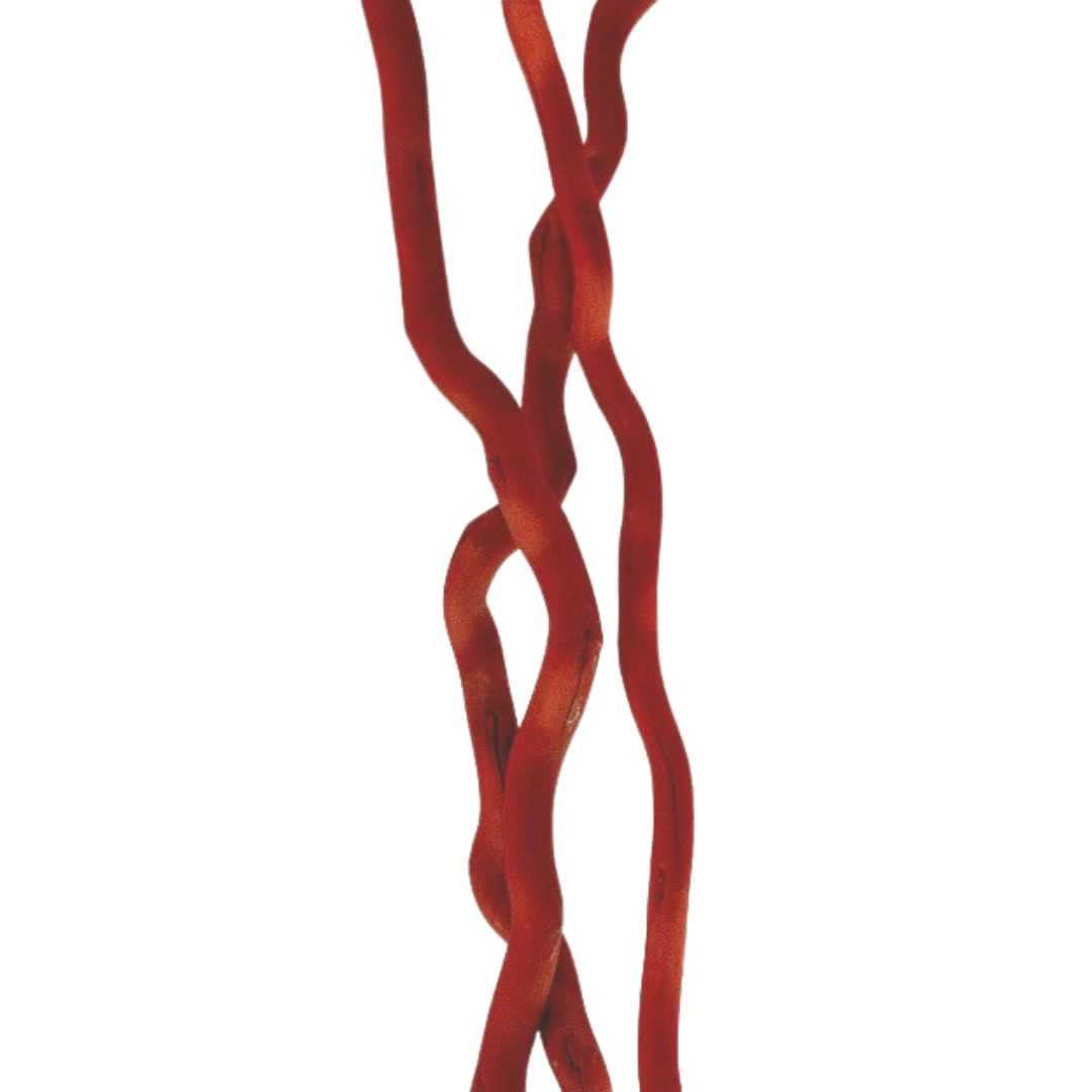 Kuwa Pole 3 Stems 45In