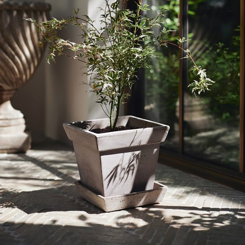 Berg's Gaia Raw Pot & Saucer 9.3