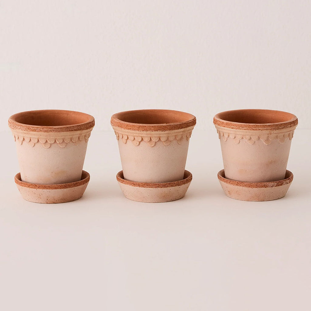 Berg's Kobenhavner 3.9in 3 Pack