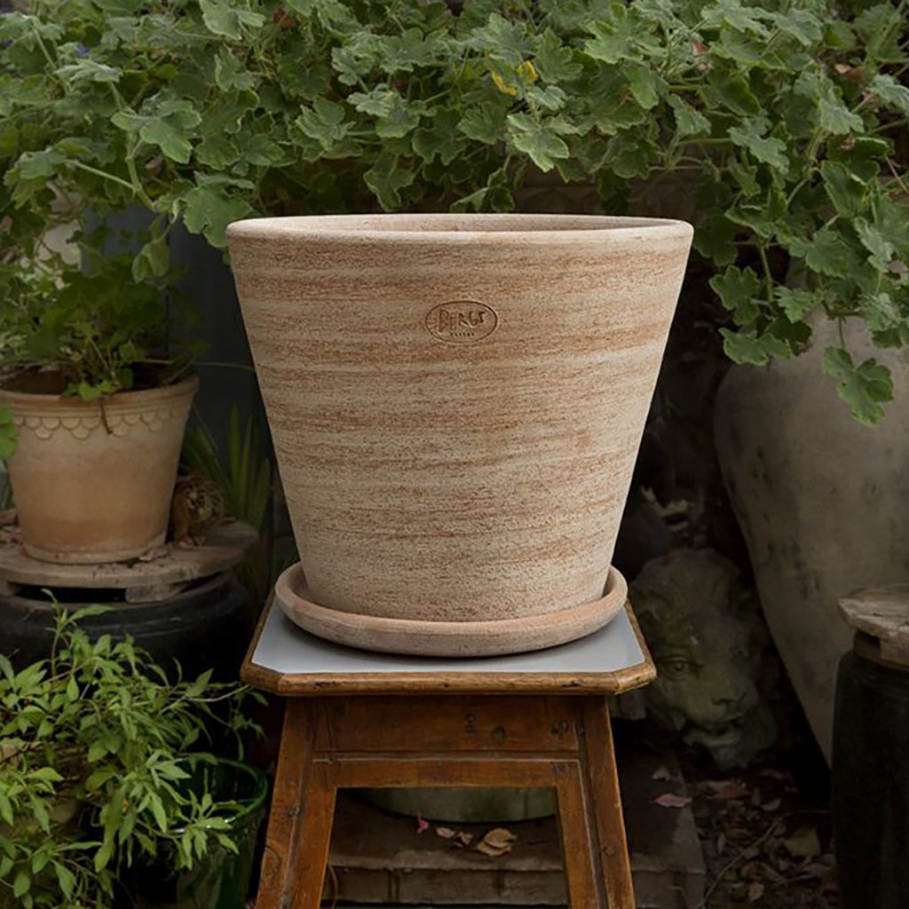 Berg's Julie Raw Pot &amp; Saucer 6.7