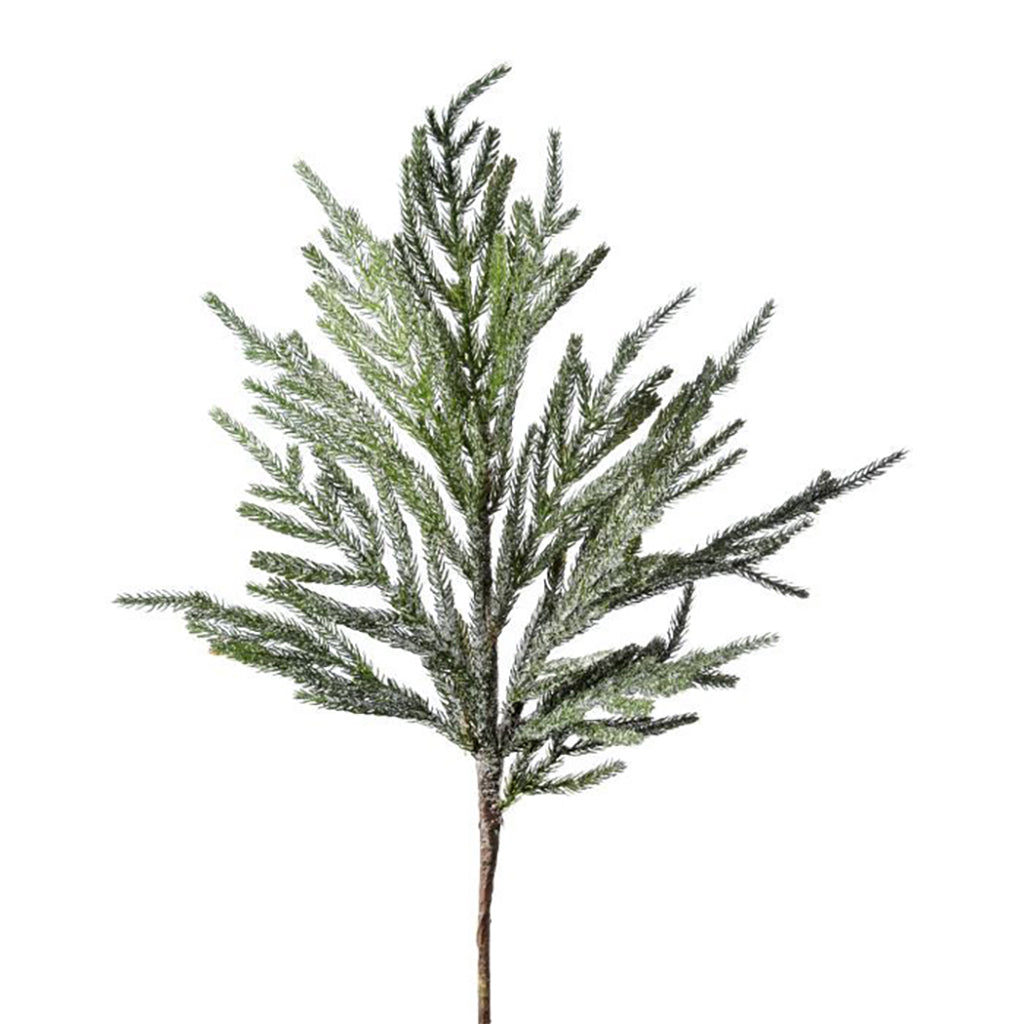Natural Touch 'Iced Garland' Norfolk Pine Branch 30"