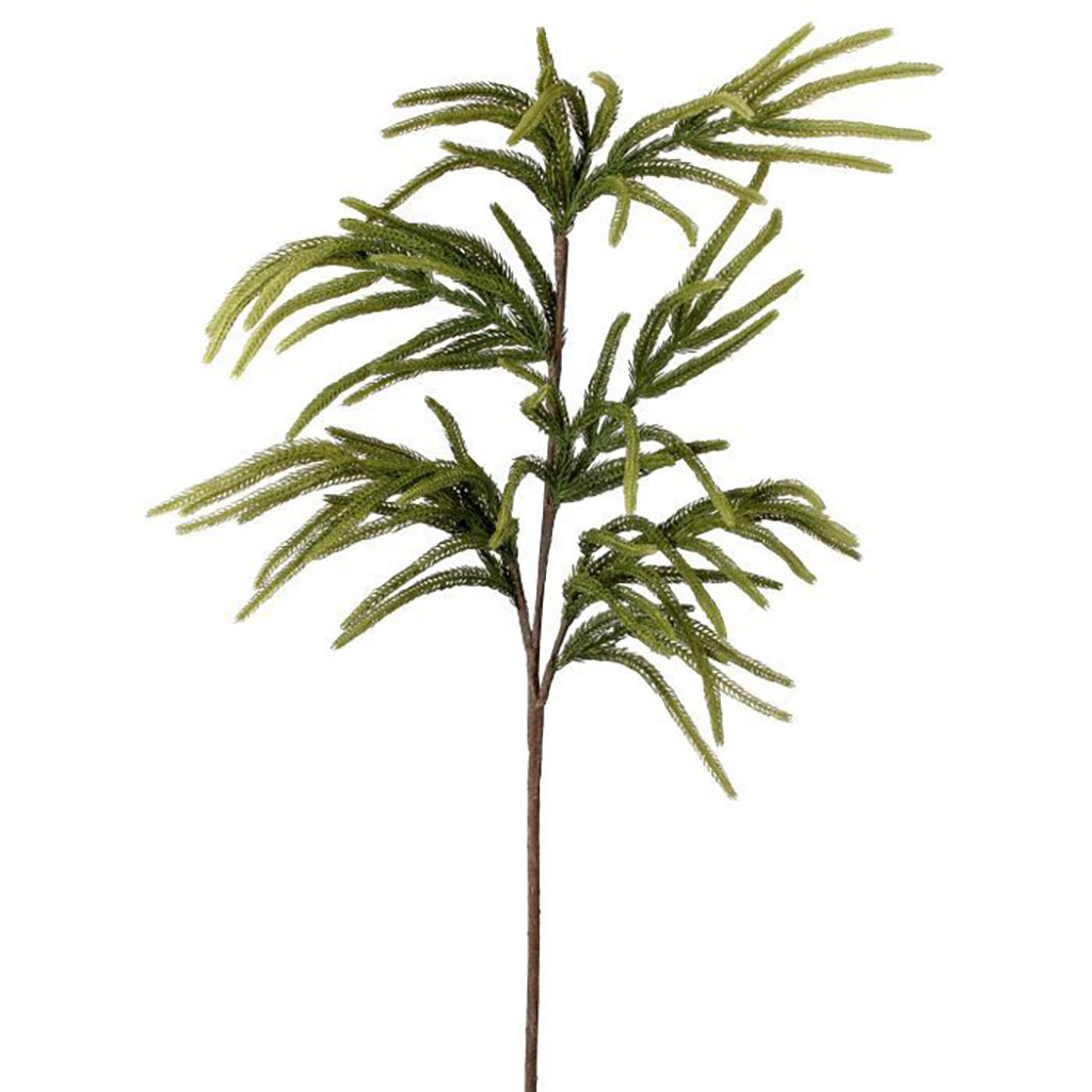 Natural Touch Norfolk Pine Spray 36"