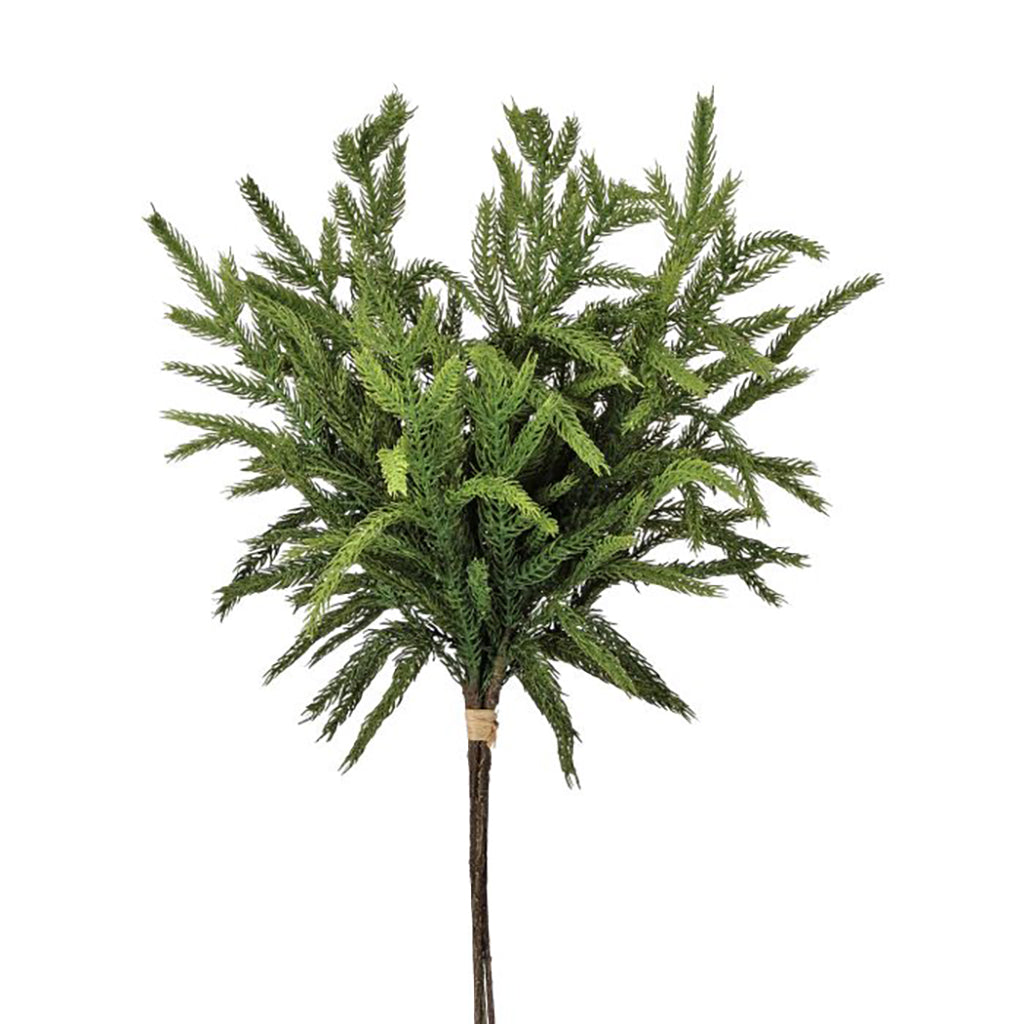 Natural Touch Norfolk Pine Bundle 17"
