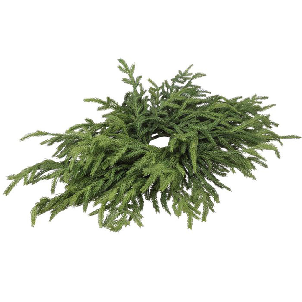 Natural Touch 'Just Cut' Norfolk Pine Centerpiece