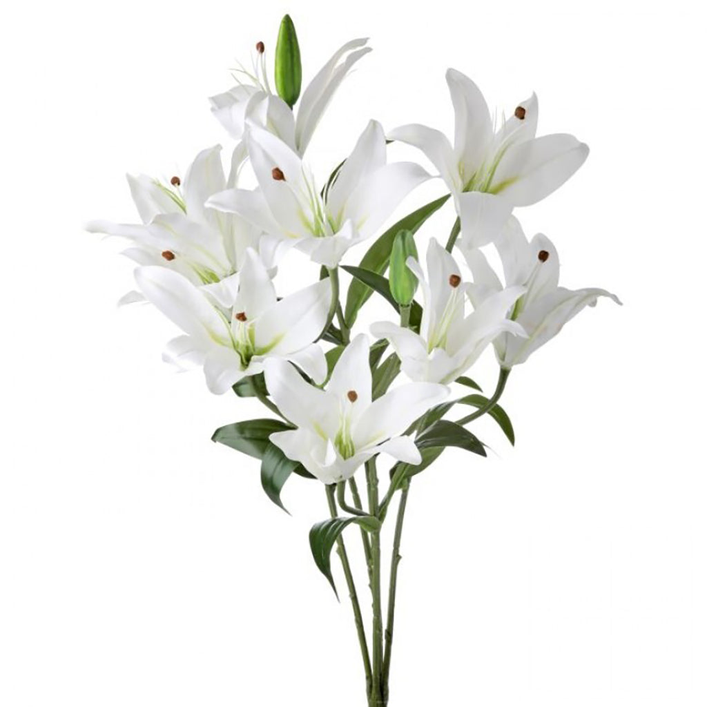 white passion lily Natural Touch Rubrum Lily Plant White Everlasting