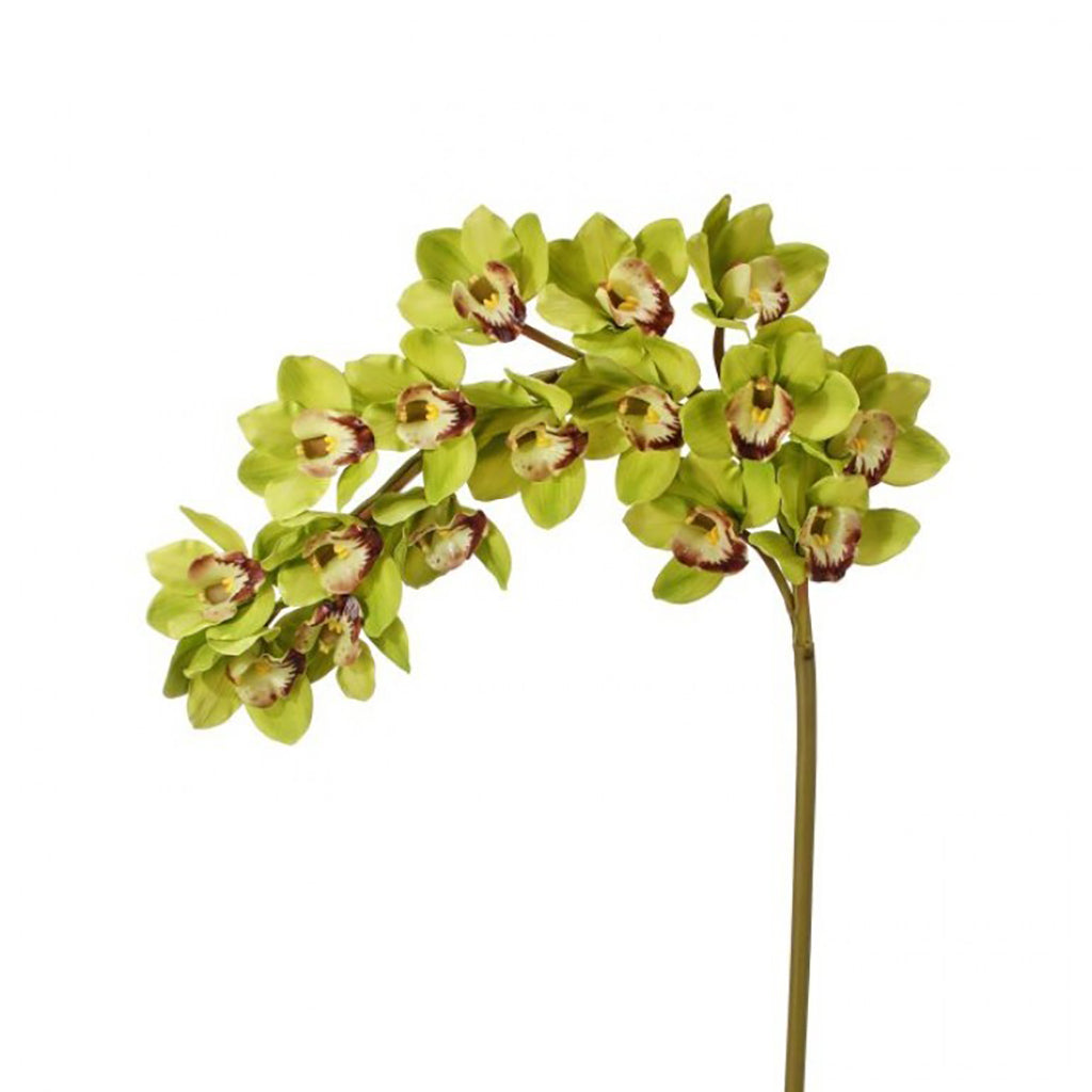 Natural Touch Grand Cymbidium Spray Green Everlasting