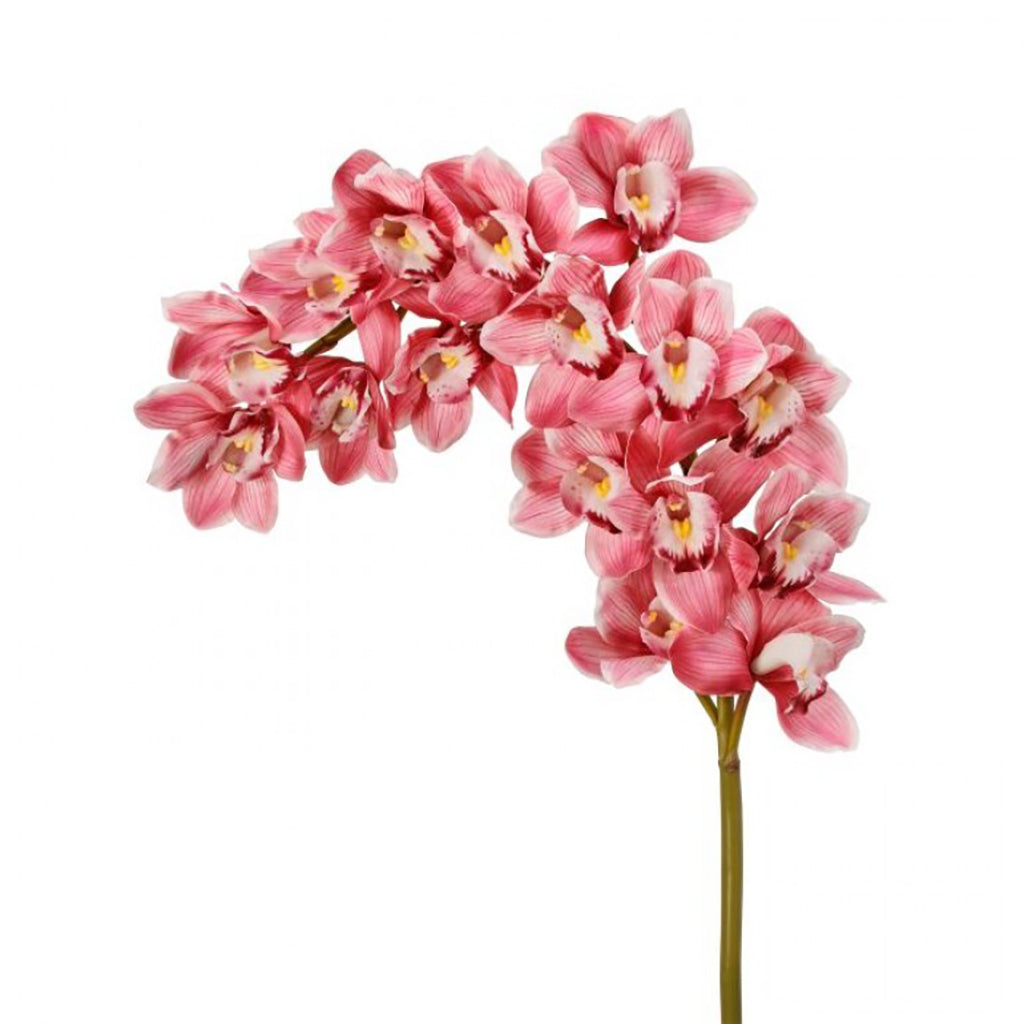 Natural Touch Grand Cymbidium Spray Pink Everlasting