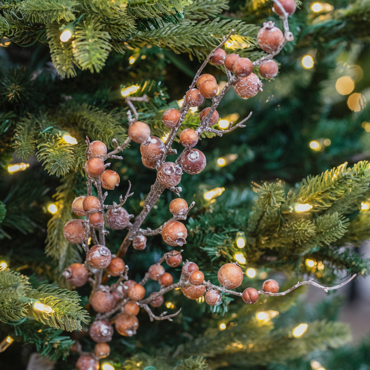 Cinnamon Mixed Berry Spray