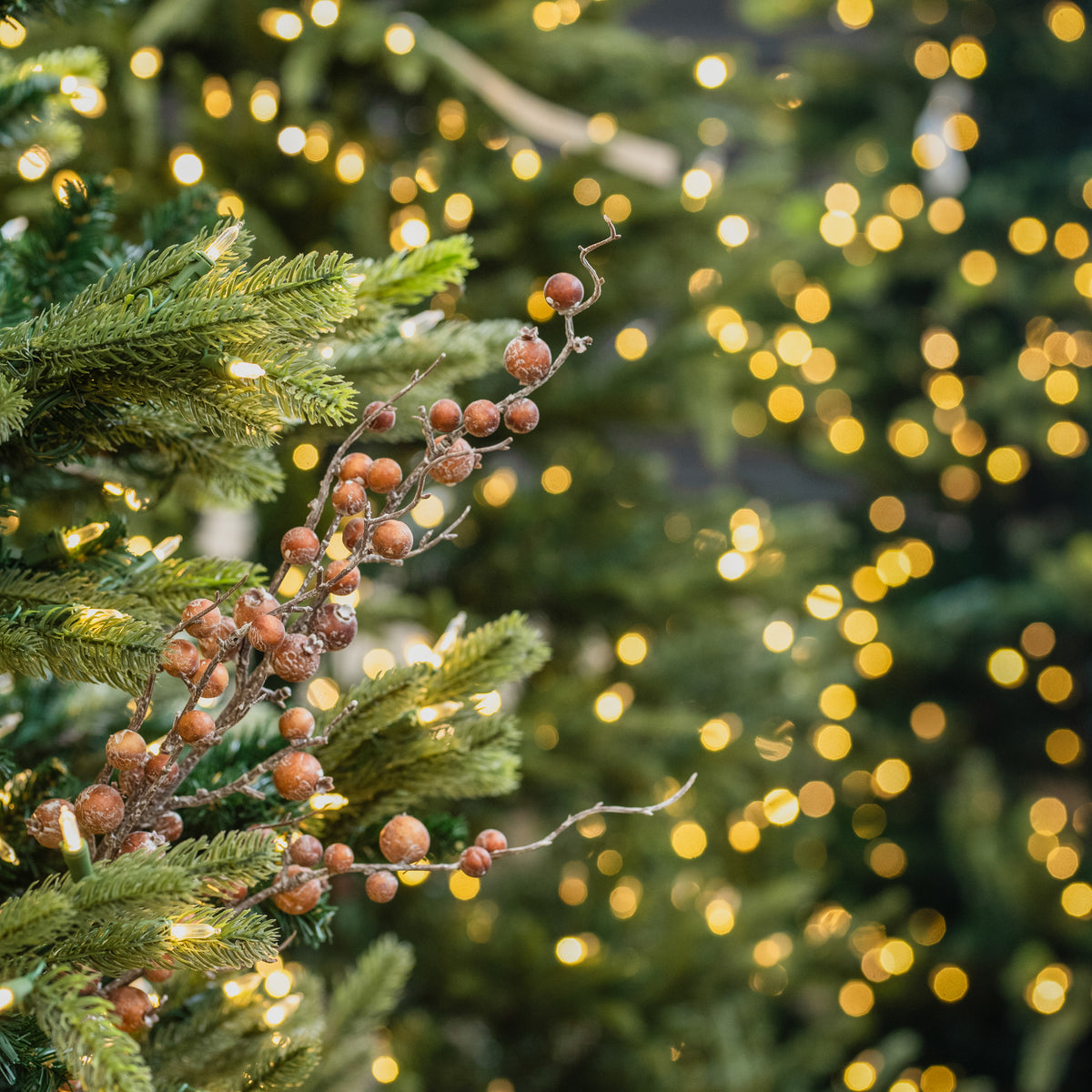 Cinnamon Mixed Berry Spray