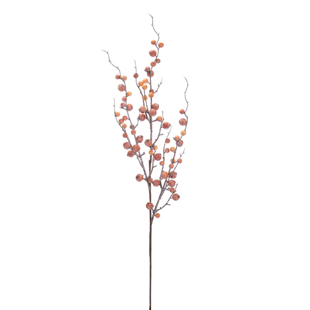 Orange Mixed Berry Spray