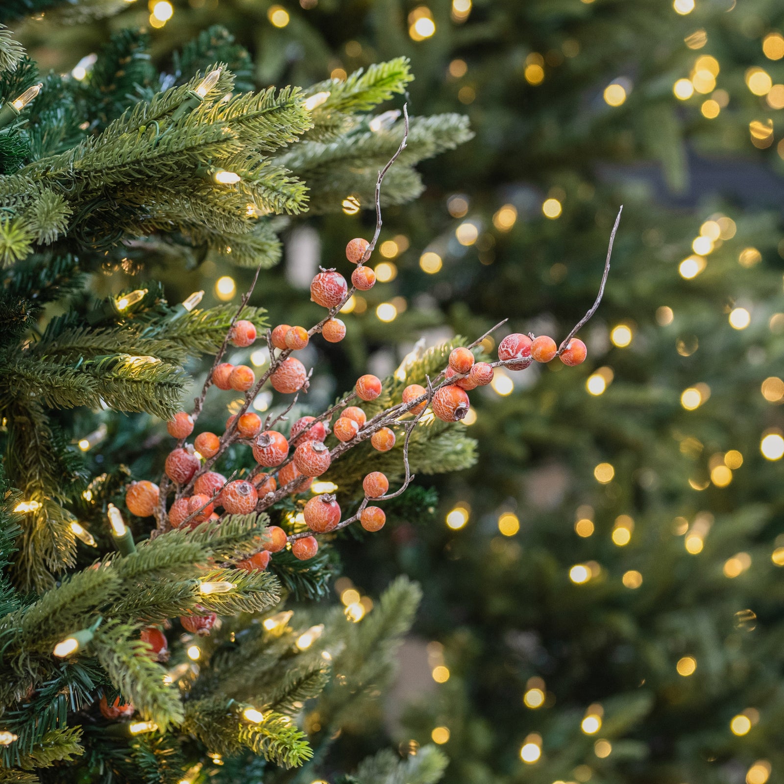 Orange Mixed Berry Spray