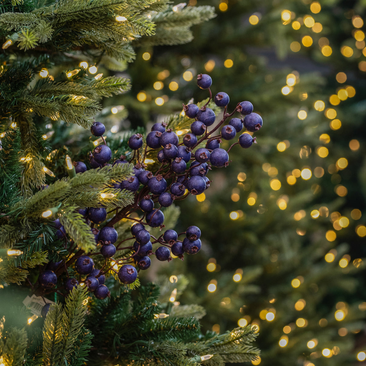 Matte Blue Cranberry Spray