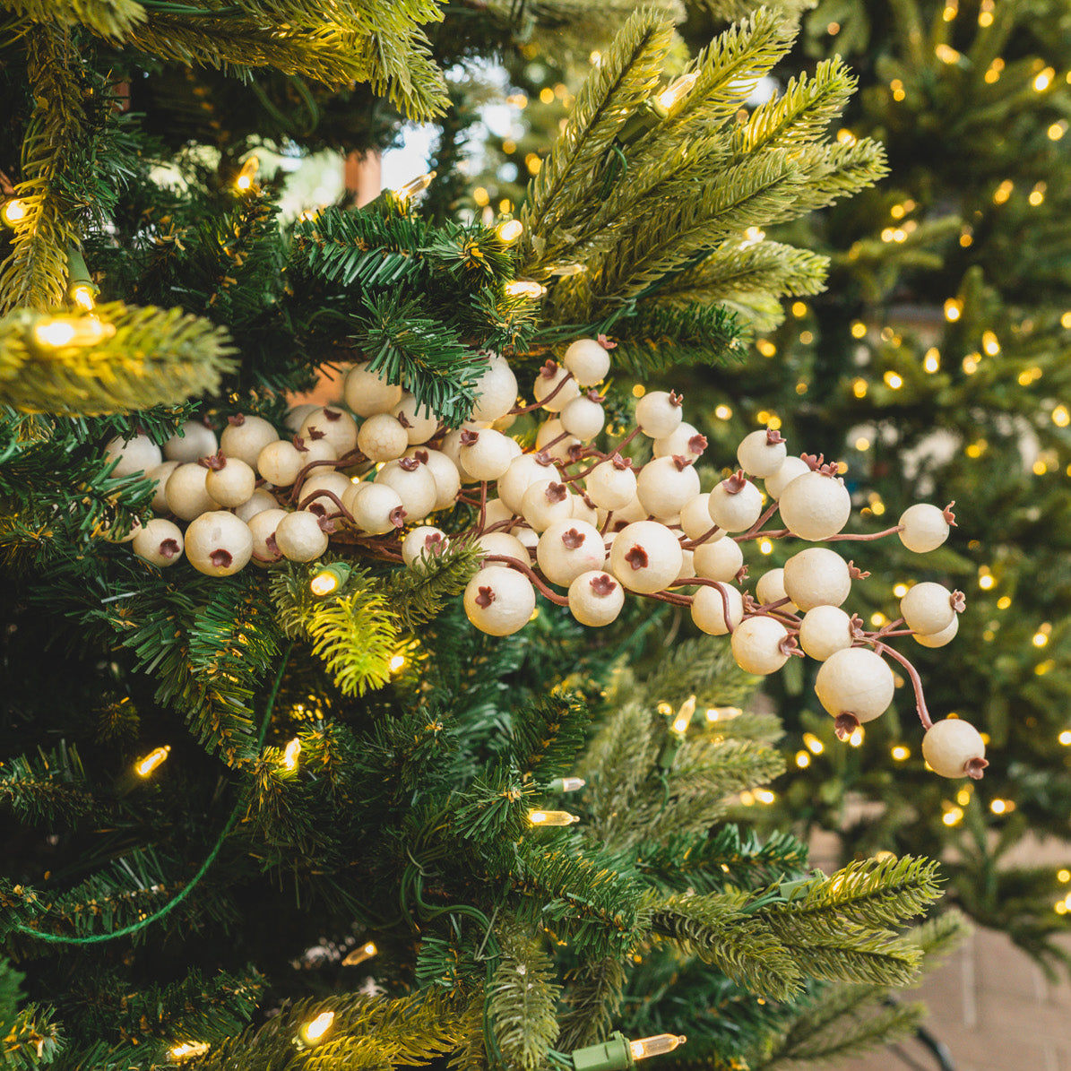 Matte Cream Cranberry Spray