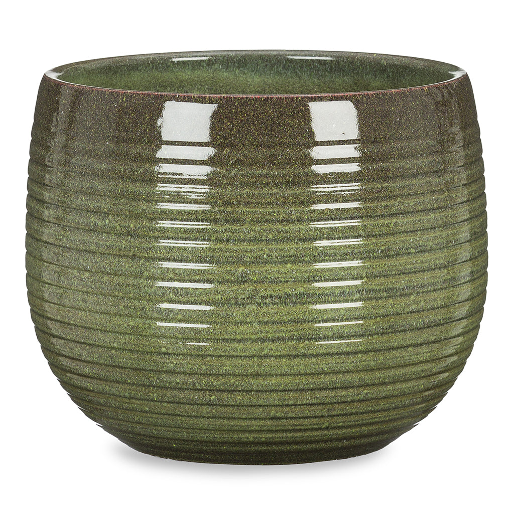 Wild Jungle Green Pot