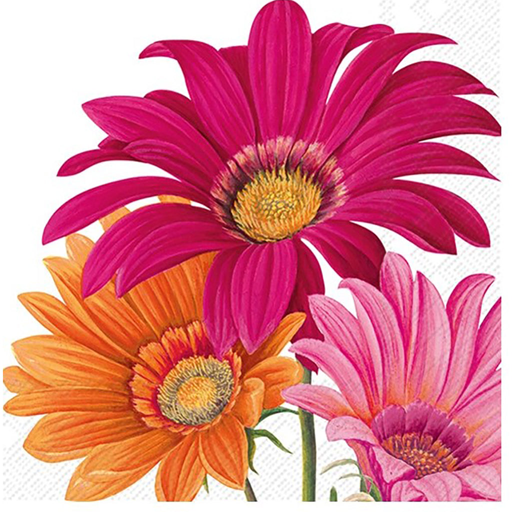 Joyful Gerbera Lunch Napkin