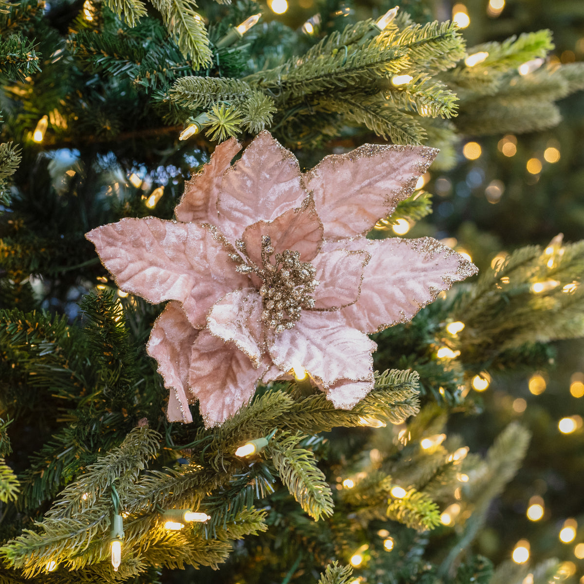 Glitter Edge Velvet Poinsettia Champagne 24"