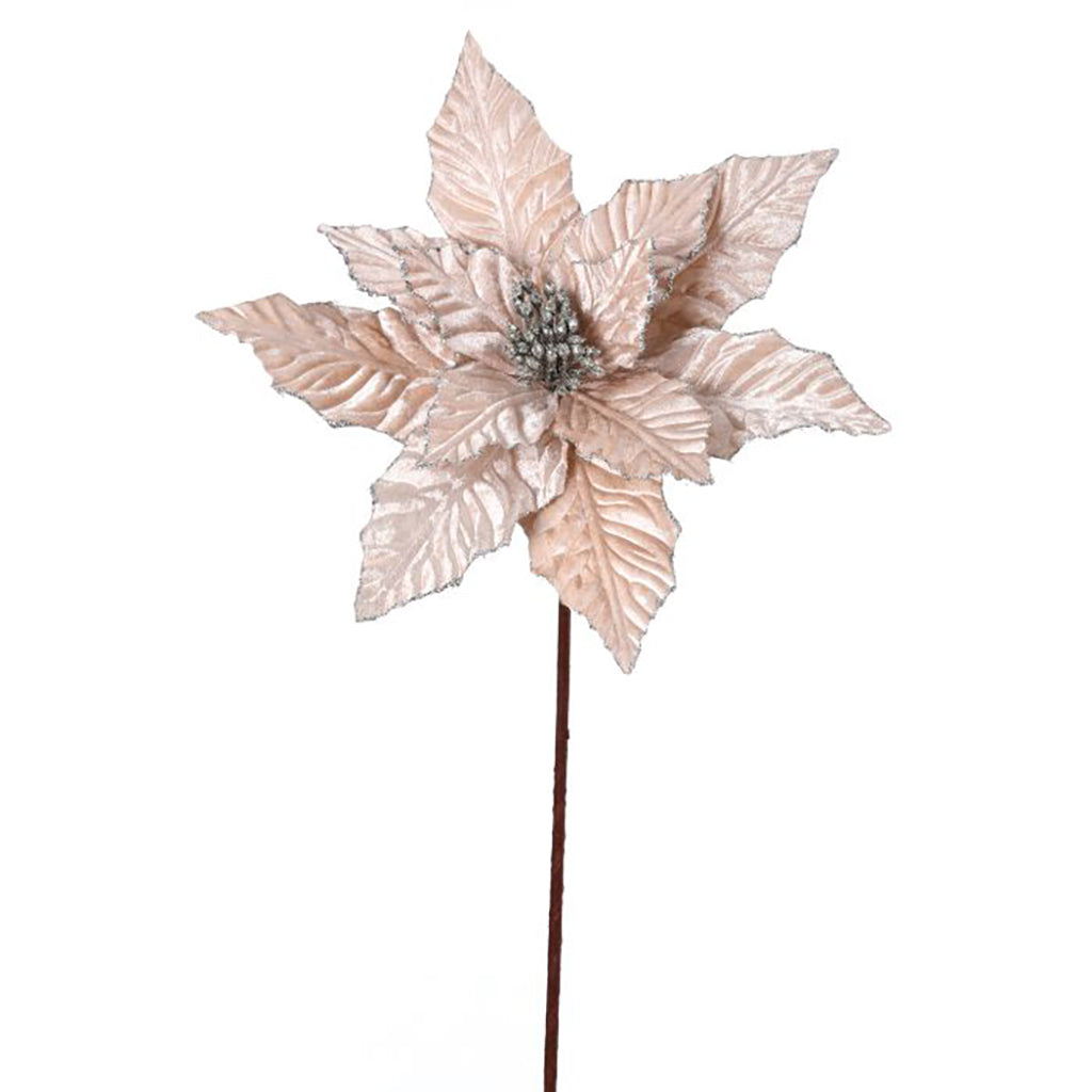Glitter Edge Velvet Poinsettia Champagne 24"