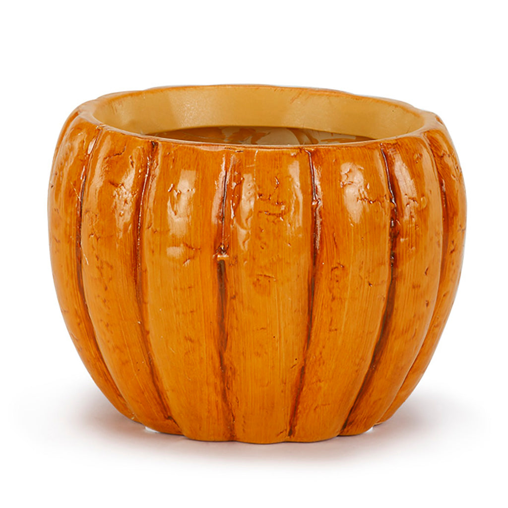 Pumpkin Planter