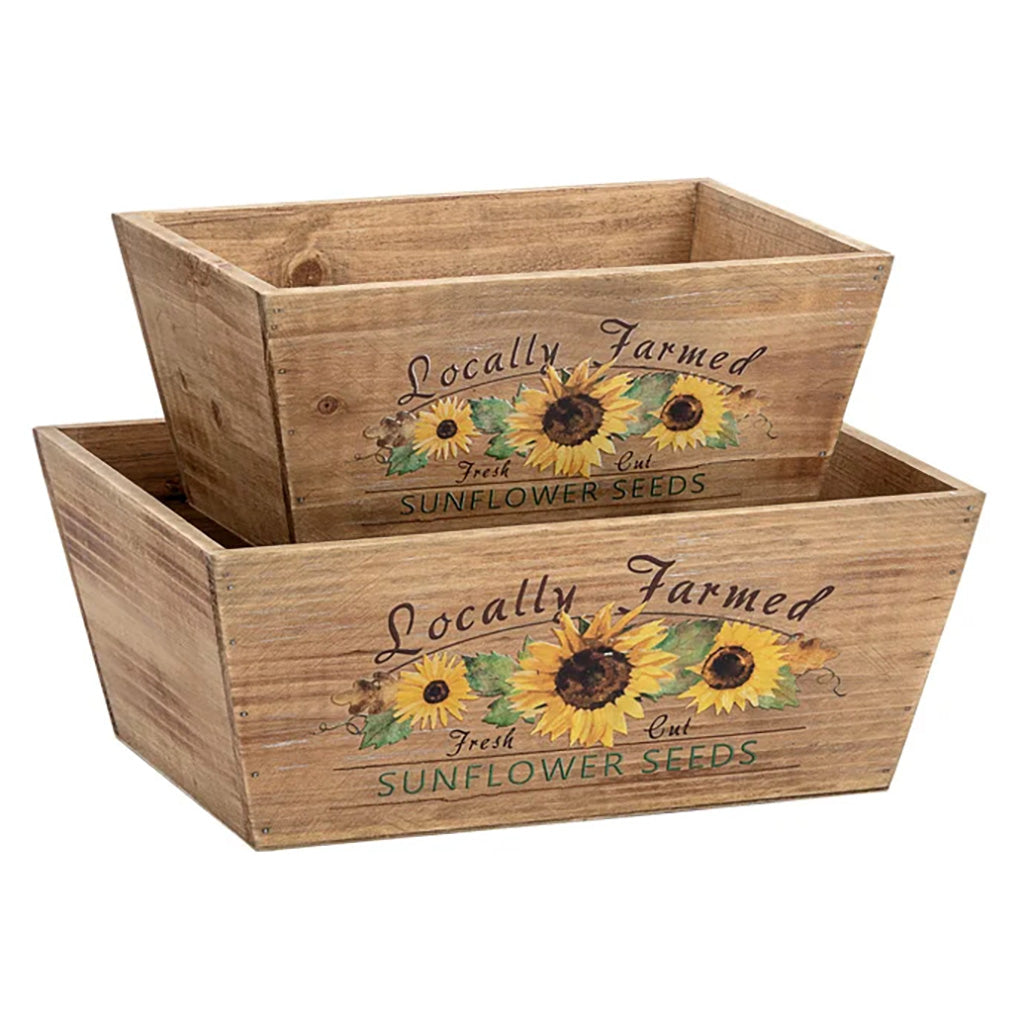 Sunflower Box Planter