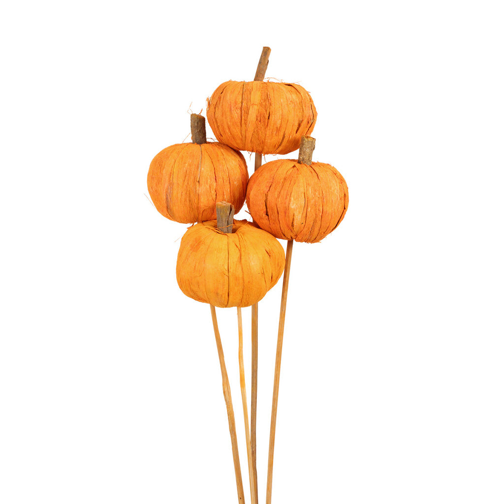 Pumpkins- Stemmed Orange