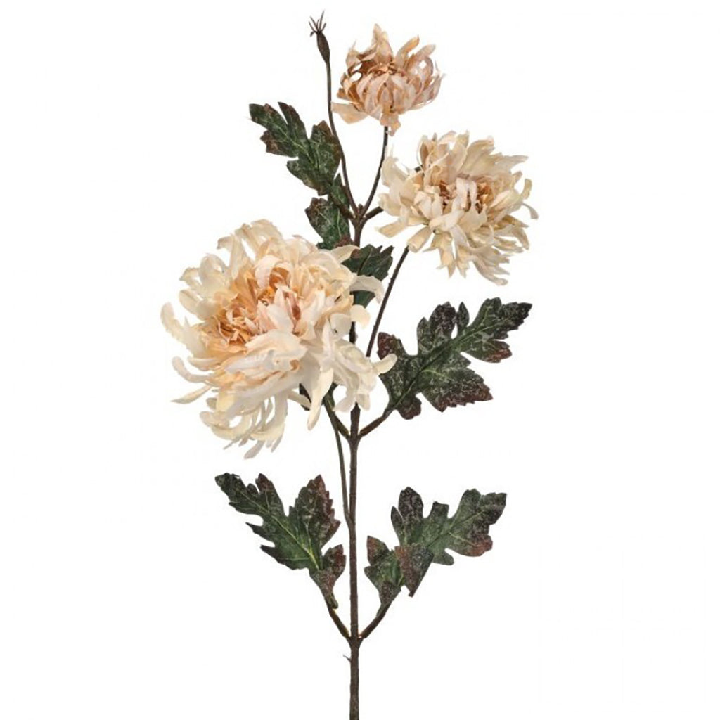 Autumn Mum Pick Cream 31"
