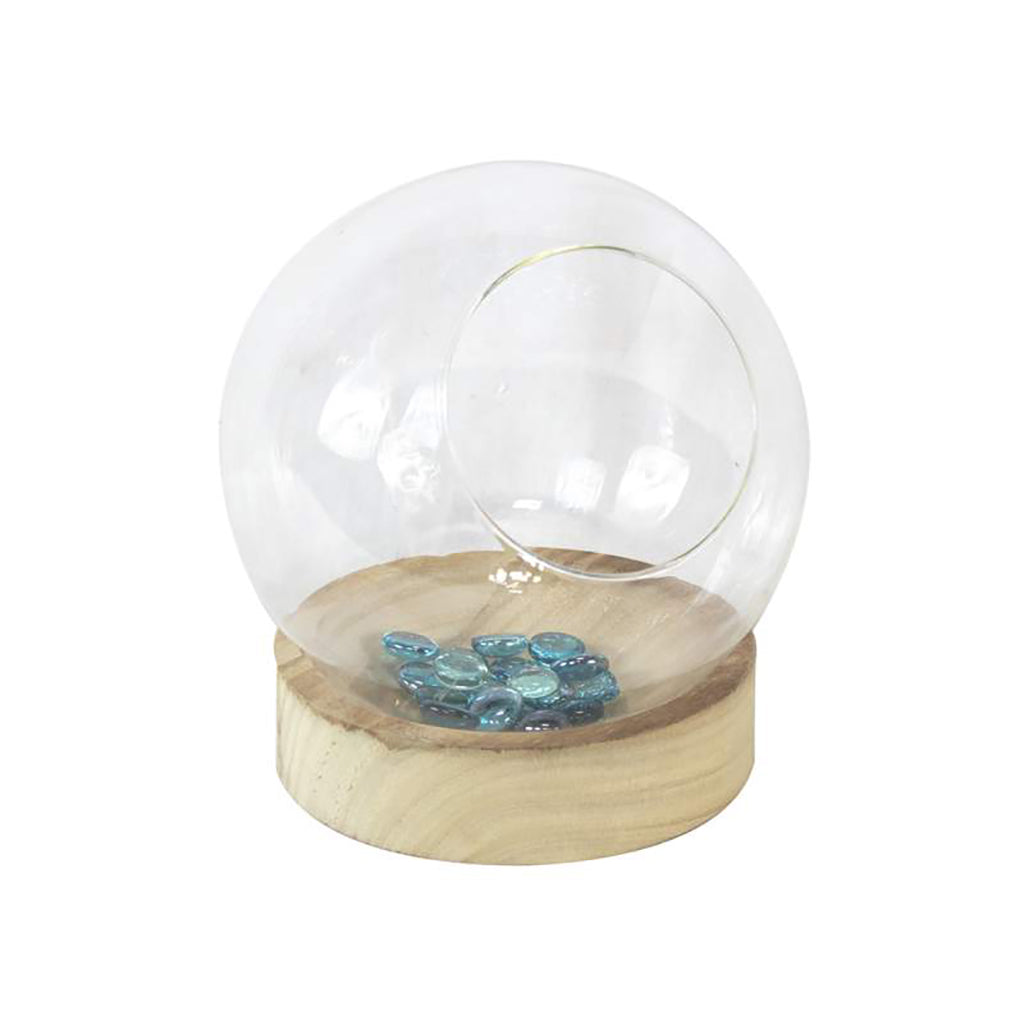 Round Terrarium with Wood Base
