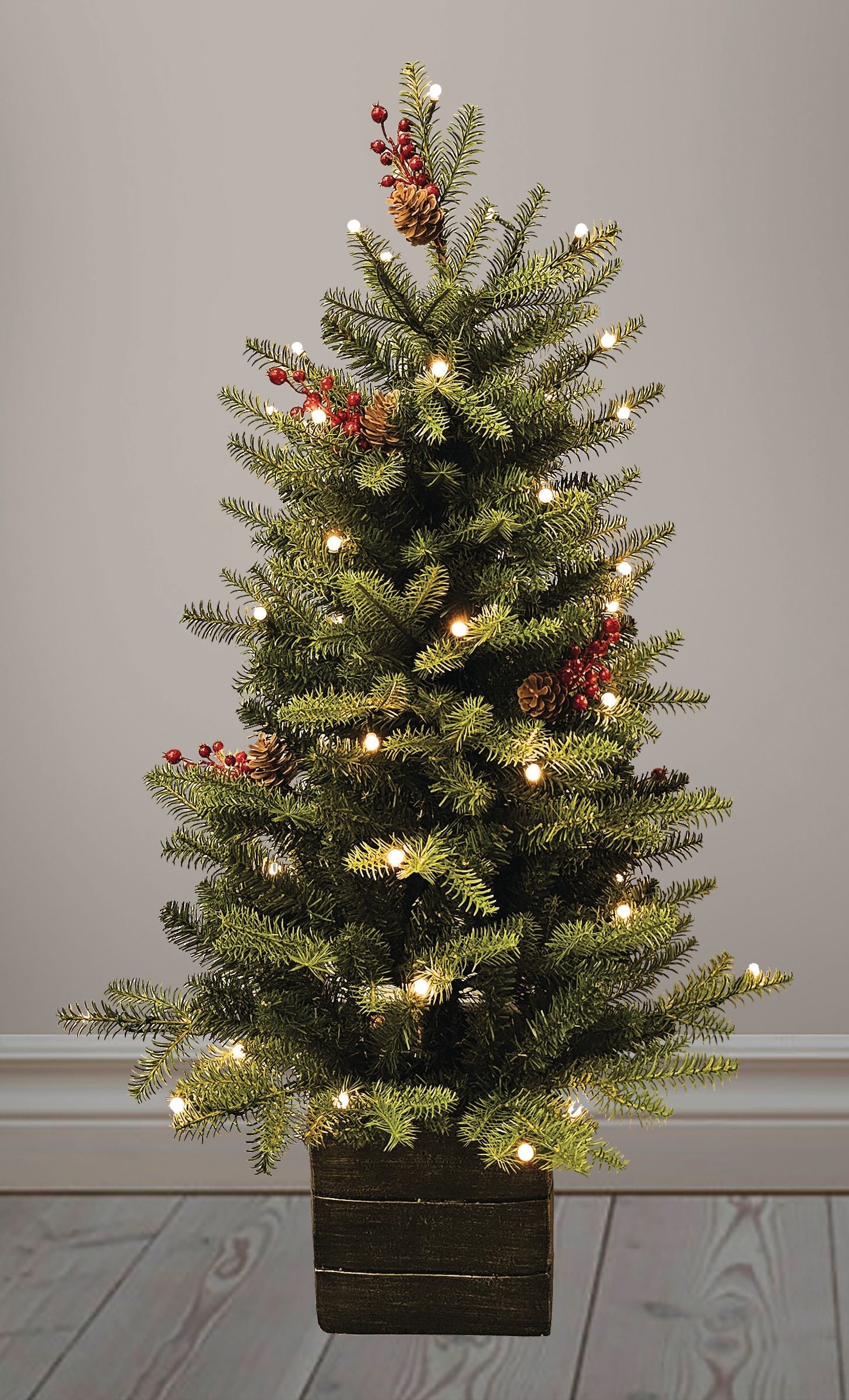 Potted Green Mountain Fir - 42IN