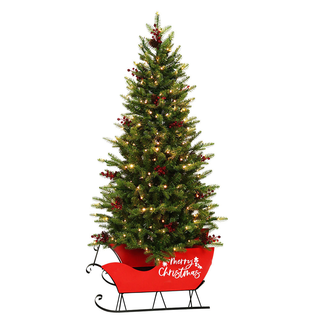 Green Mountain Fir in Sleigh - 5FT