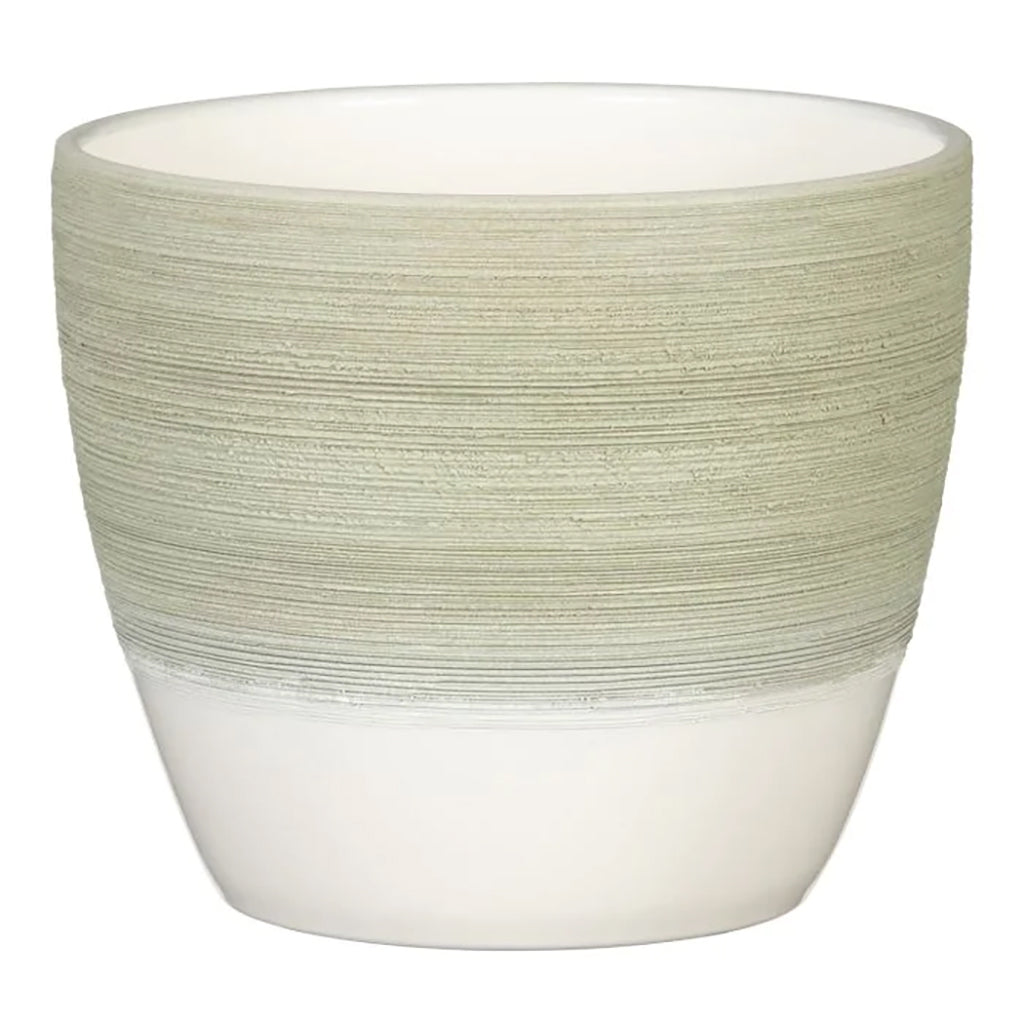 Tayler Ceramic Pot Matcha