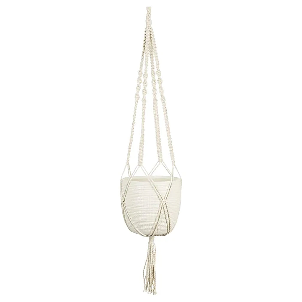Corteza Sky Vanilla - 16cm