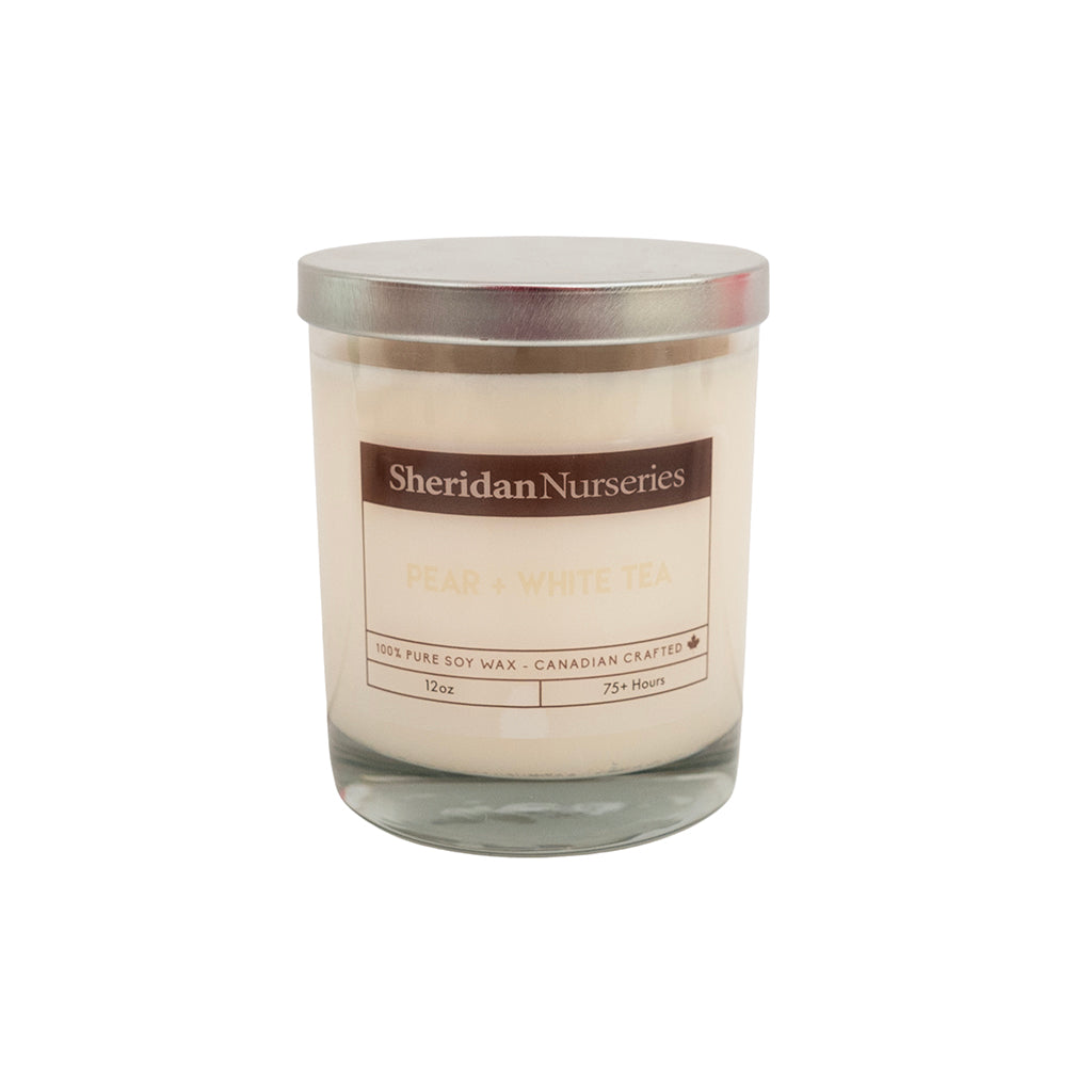 Sheridan Pear &amp; White Tea 12Oz Candle