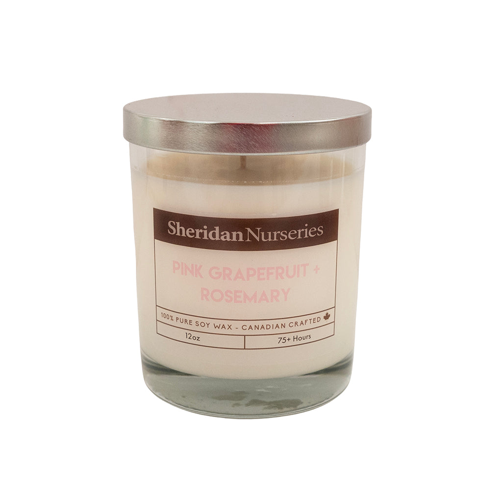 Sheridan Pink Grapefruit & Rosemary 12Oz Candle
