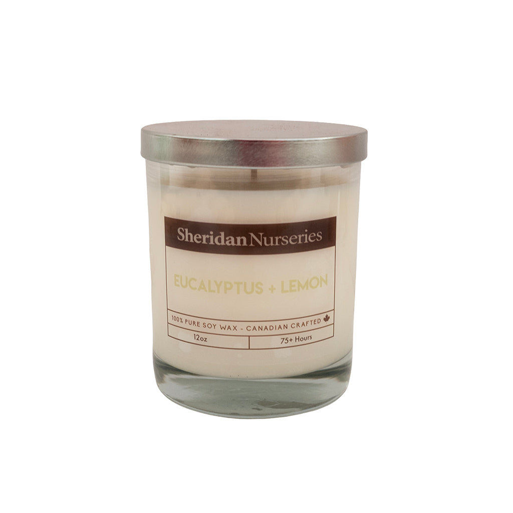 Sheridan Eucalyptus & Lemon 12Oz Candle