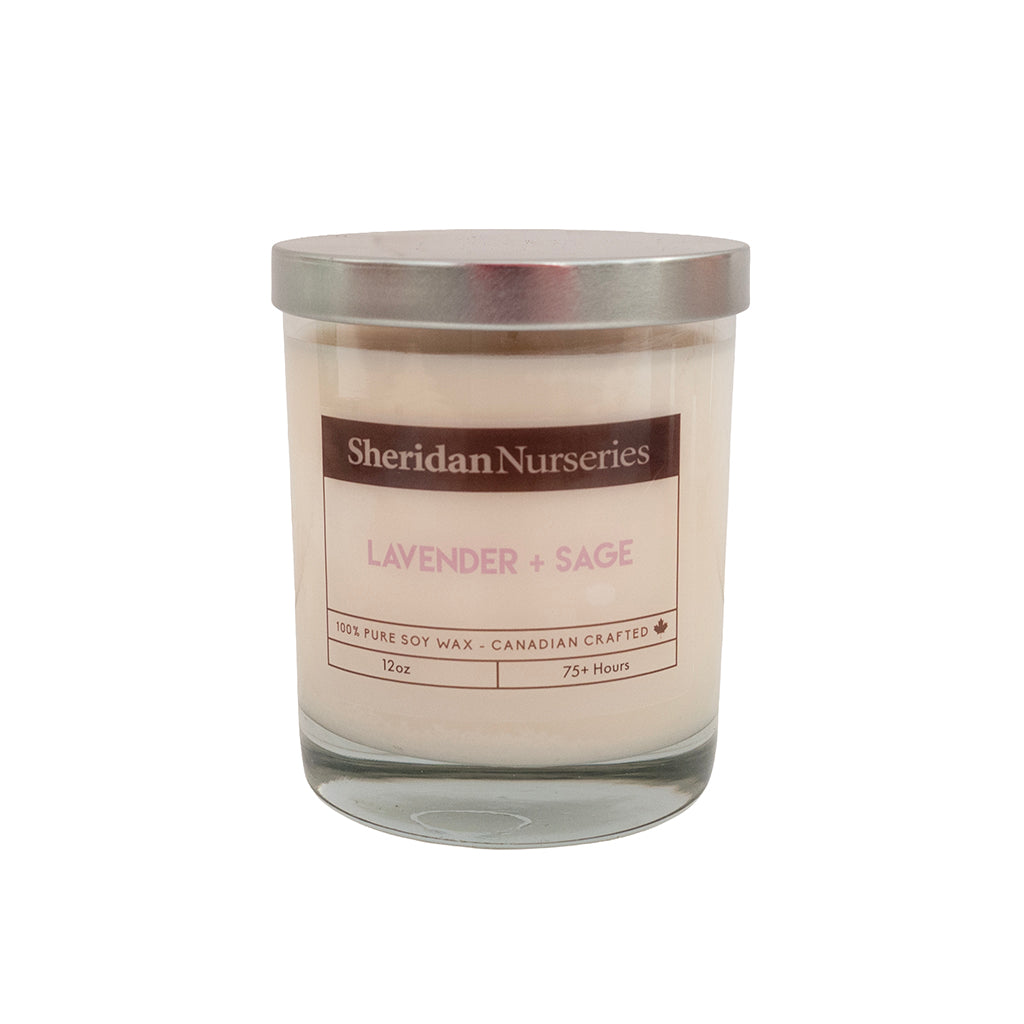 Sheridan Lavender & Sage 12Oz Candle