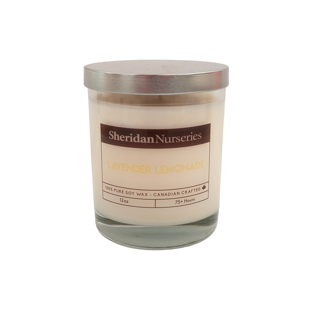 Sheridan Lavender Lemonade 12Oz Candle