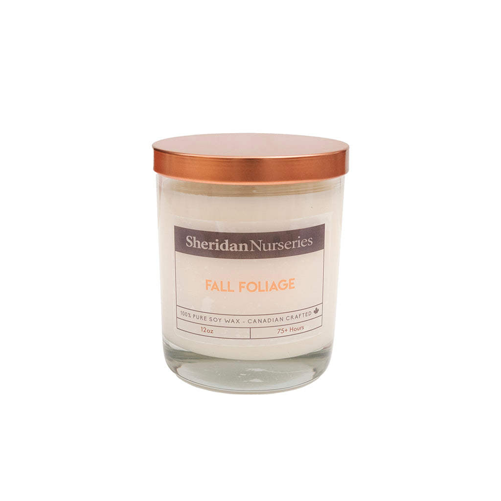 Sheridan Fall Foliage 12oz Candle