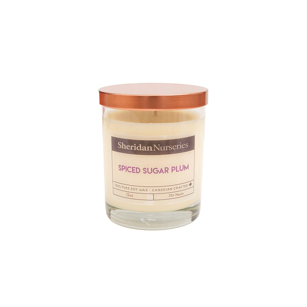 Sheridan Spiced Sugar Plum 12oz Candle