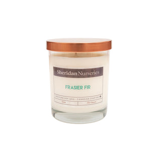 Sheridan Frasier Fir 12oz Candle