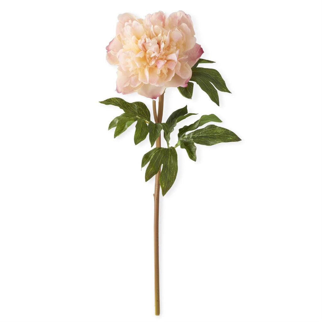 Real Touch Peony Stem 21.5" Coral Charm