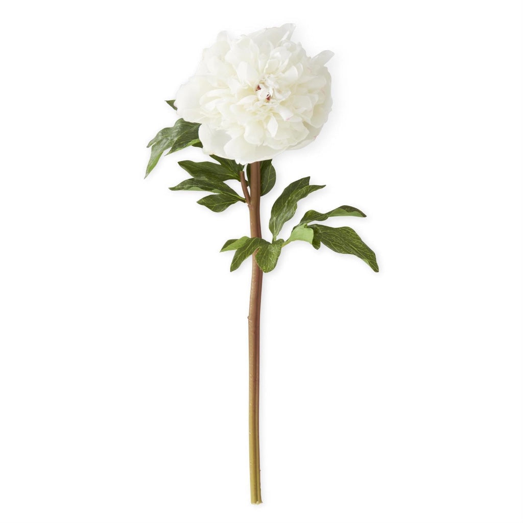 Real Touch Peony Stem 21.5" White Charm