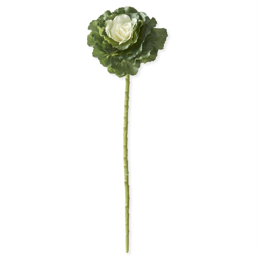 Ornamental Cabbage Pick 18" Cream Green Everlasting