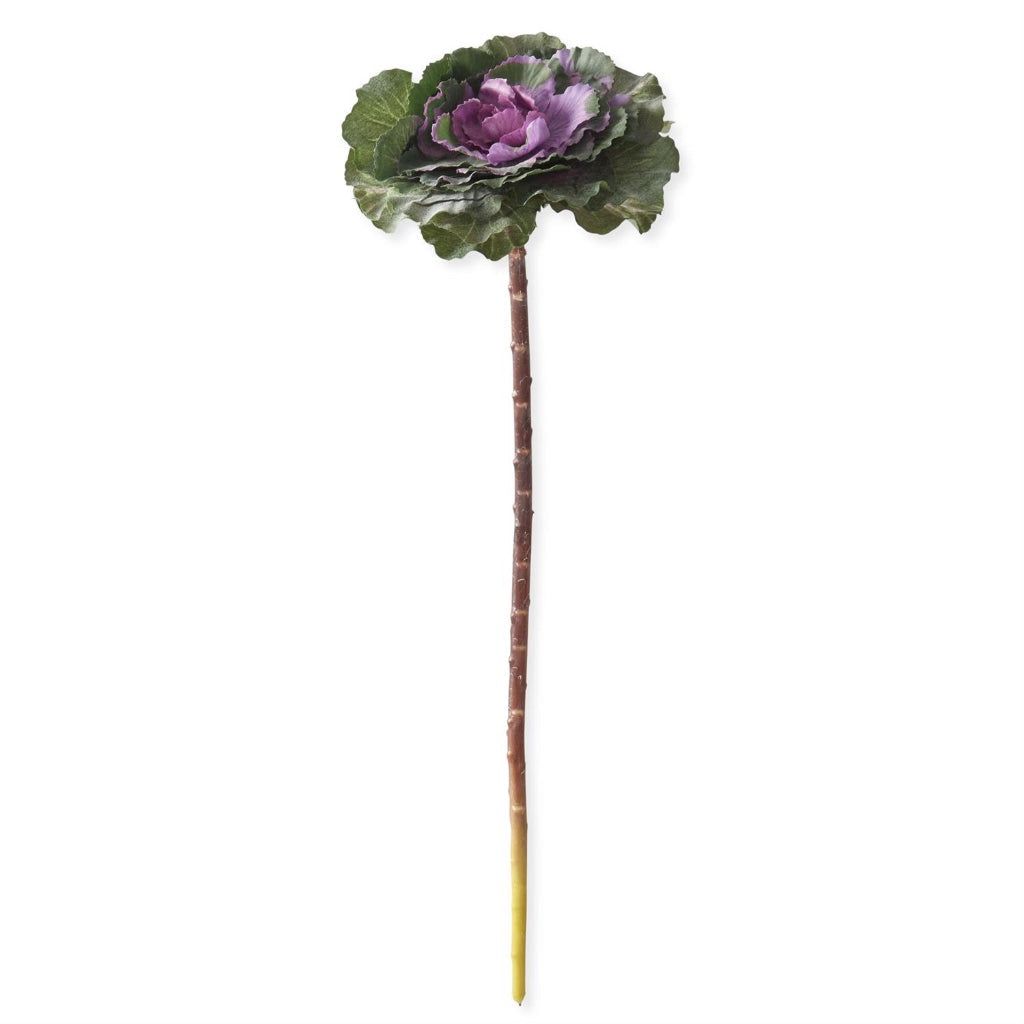 Ornamental Cabbage Pick 18" Purple Green